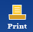 Print Button